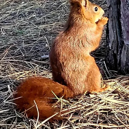 Cocon Paisible, Proche De La Mer, Vue Degagee דירה *