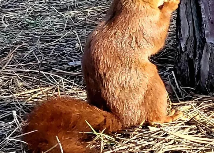 Cocon Paisible, Proche De La Mer, Vue Degagee Daire *